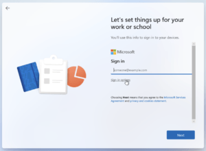 Windows 11 Installation - Select Sign In Options